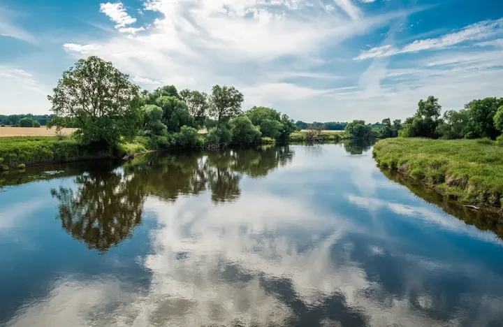 Die Mulde bei Dessau