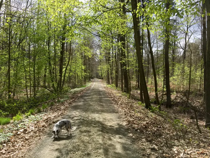 Wanderung-Willibald-Alexis-Weg-beim-Kloster-Lehnin