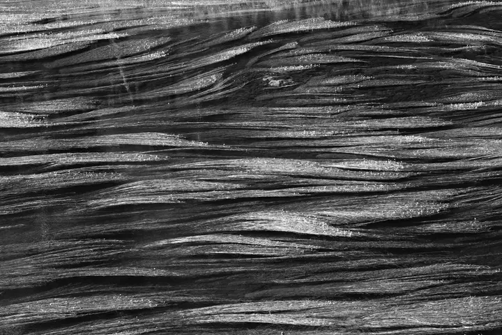 Wogende Pflanzen in der Saale bei Eßbach