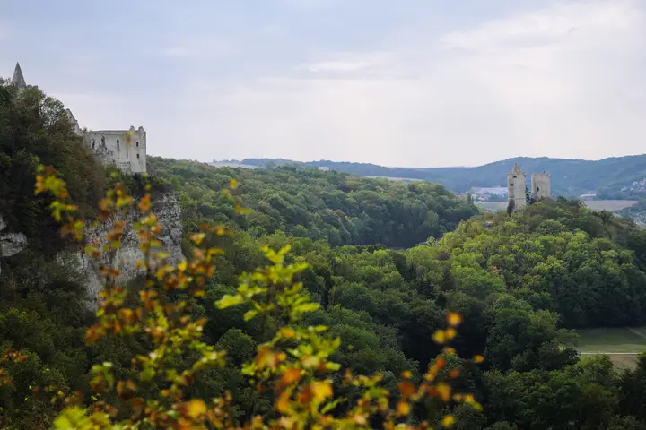 Blick auf die Rudelsburg