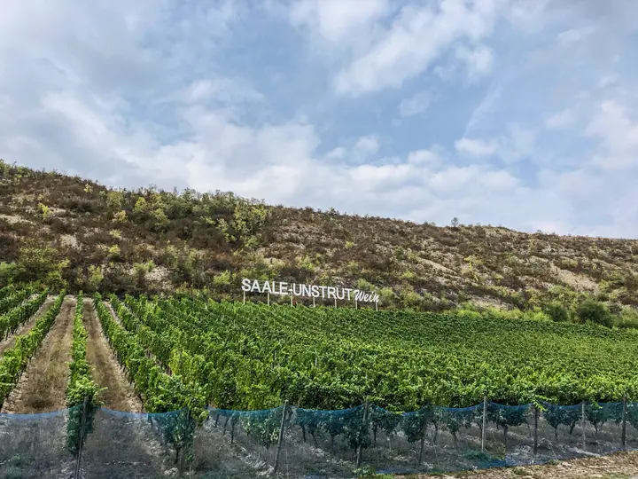 Das Saale-Unstrut-Weinbaugebiet, hier bei Kloster Pforta