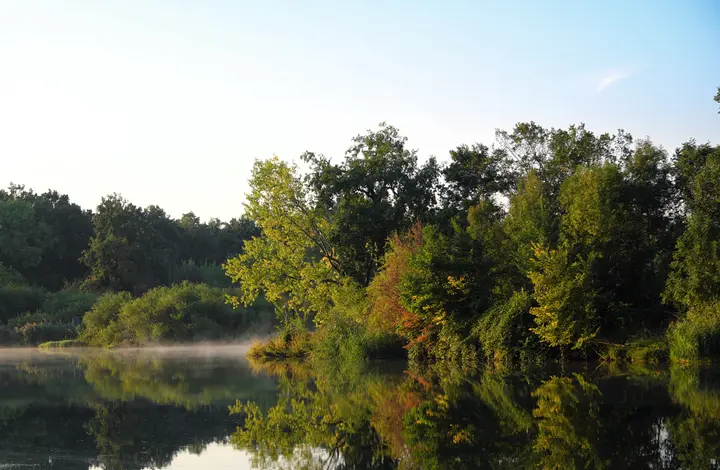 Nebelflaum über der Saale bei Wettin