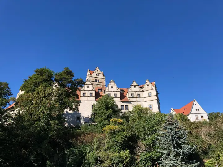 Blick auf Plötzkau vom Radweg aus