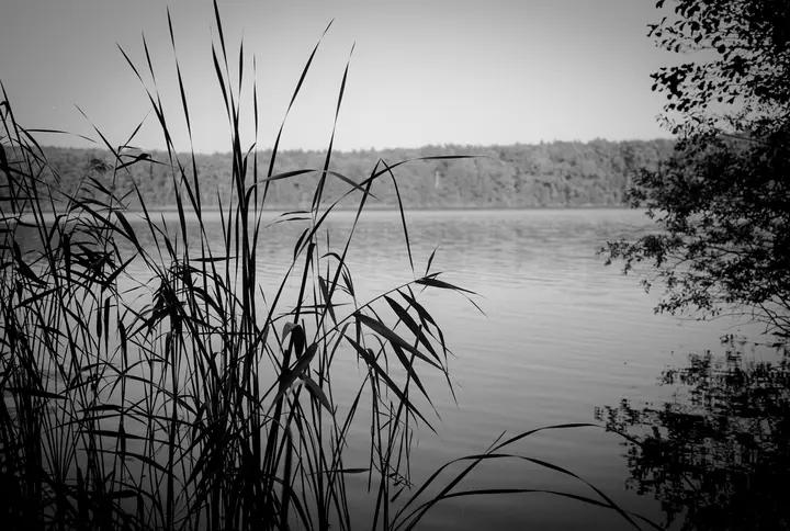 Sacrower See, Ilford HP5