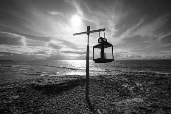 Öland Byrums Rauken