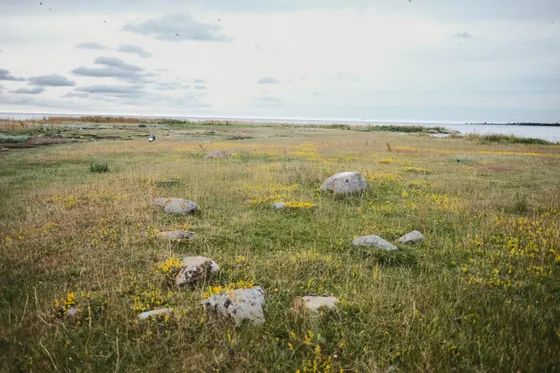 Öland Källahamn Küstenbereich