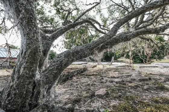 Öland Källa Gamla Kyrka - Friedhof