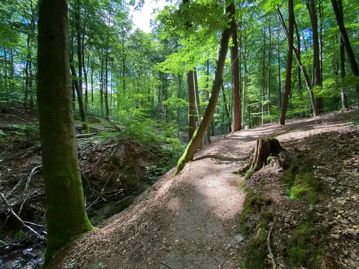 Wanderung am Binenbach, Binenwalde