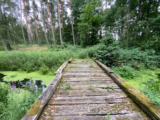 alte Brücke am Beutelsee