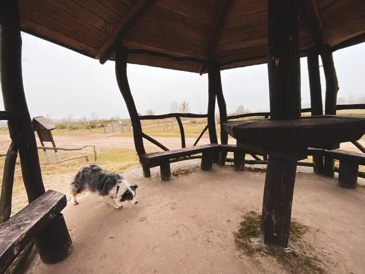 Unterstand in der Döberitzer Heide