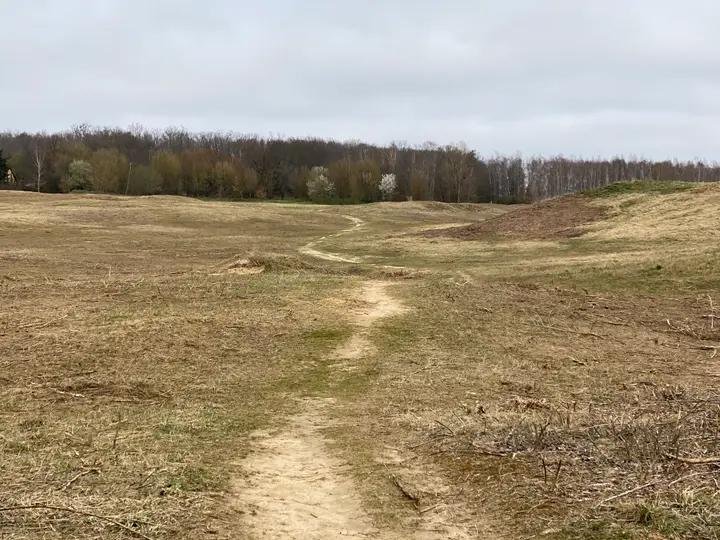 Brachland zwischen Hahneberg und Seeburg