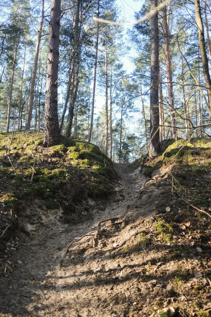 Ehemaliger Wassergraben der Rieselfelder an der Waldsiedlung zwischen Seeburg und Groß Glienicke