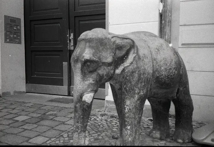 Kollwitzplatz - unscharf (Olympus µ II; Ilford HP5, Rodinal)