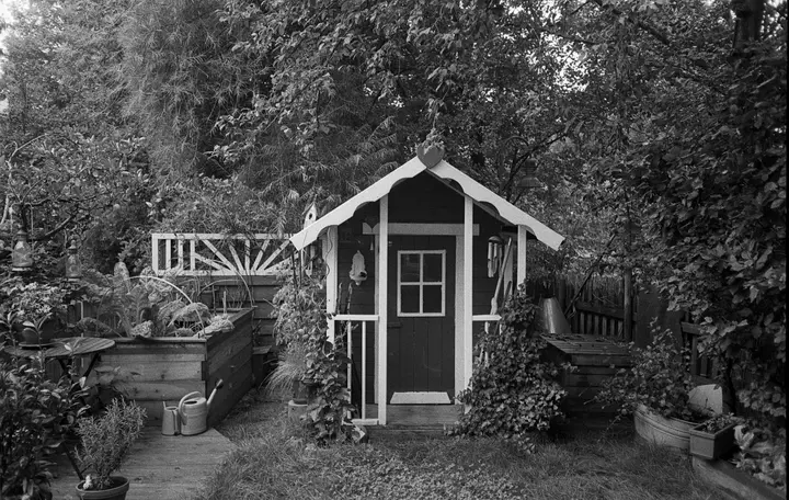 Garten im Sommer (Olympus Mju II; Ilford HP5, Rodinal)