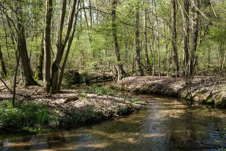 Das Flüsschen Nieplitz