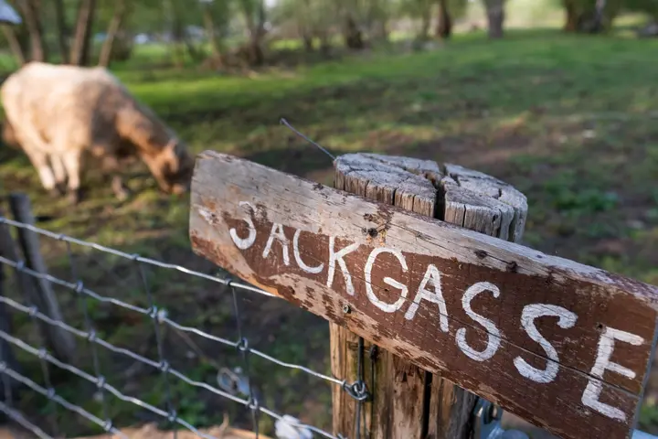Sackgasse, Tiefwerder Wiesen, Spandau