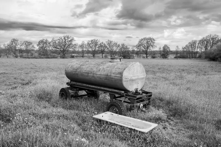 Viehtränke in Gatow