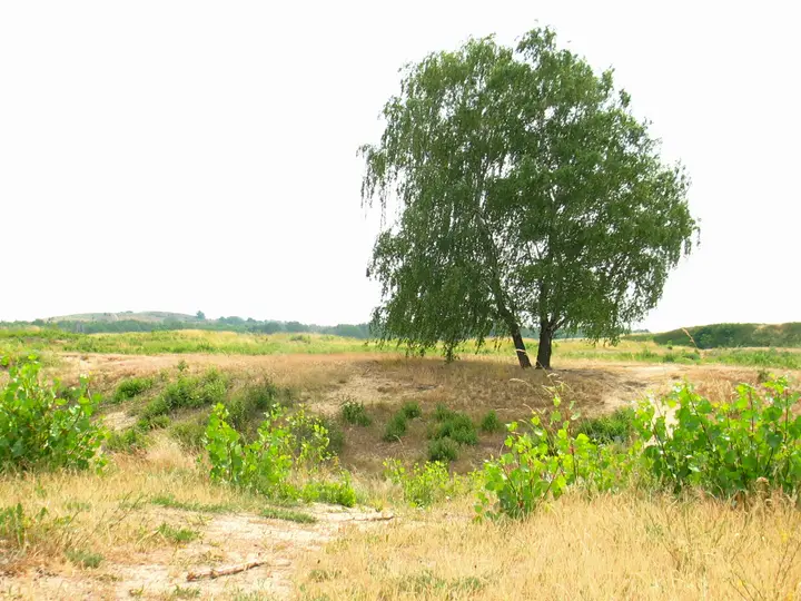 Jpeg Foto 4: Felder hinter dem Hahneberg