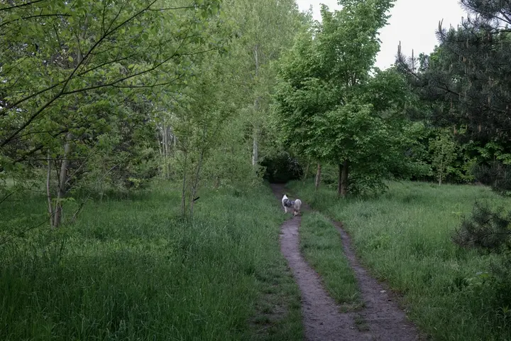 Ausgangsbild für den 23.5.2021