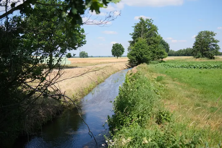 Baitzer Bach im Fläming