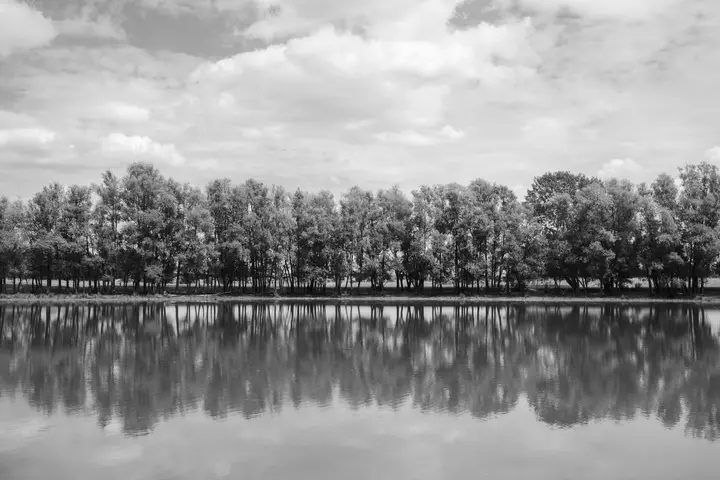 Baumallee am Ufer des Mühlensees Vehlefanz