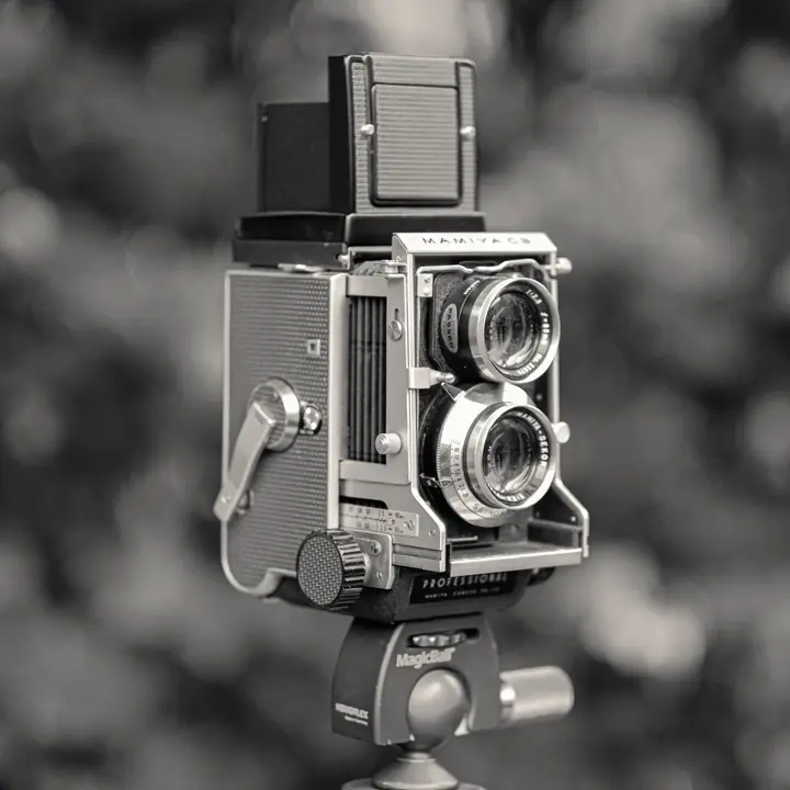Die Kamera: Mamiya C3 Professional