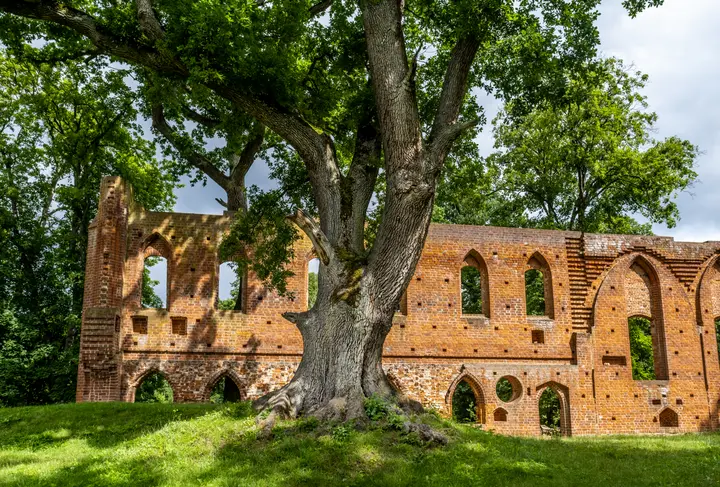 Klosterruine Boitzenburg