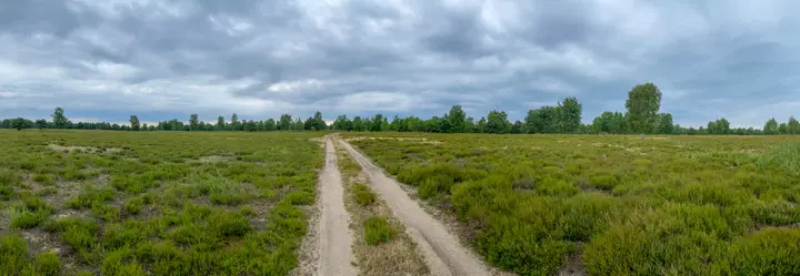 Nichts als Weite, und kein Geräusch - Kleine Schorfheide