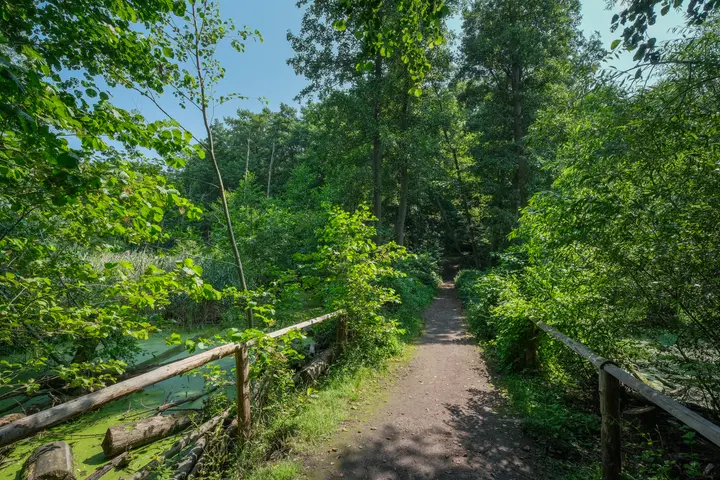 Fließwiese in Ruhleben