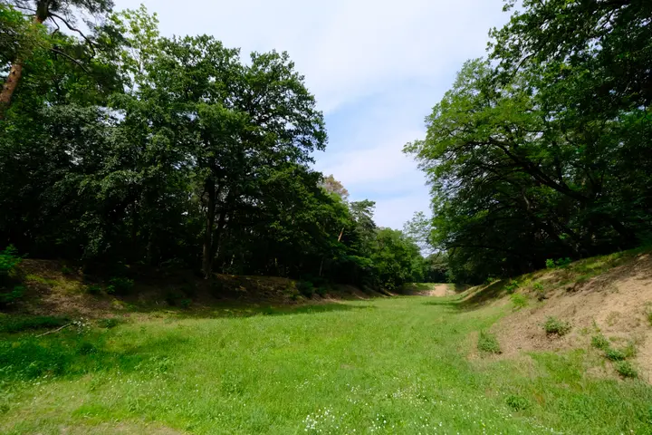 Der 'Kleine Schießplatz' - Schanzenwald in Ruhleben