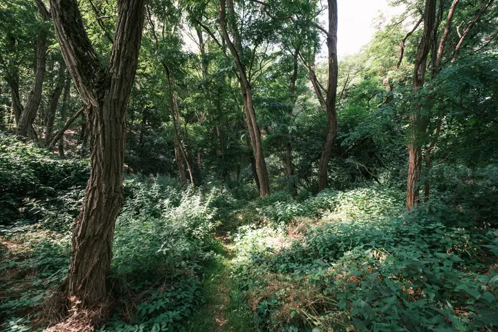 Viel Natur am Milower Berg