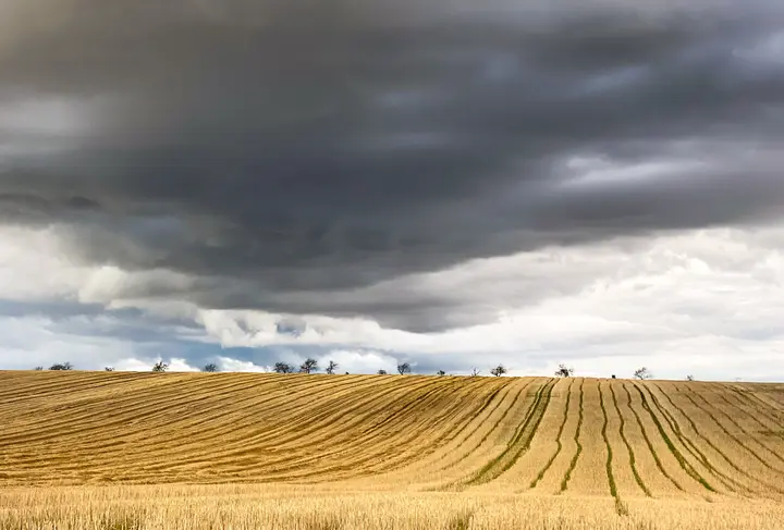 Zwischen Wetzendorf und Nebra