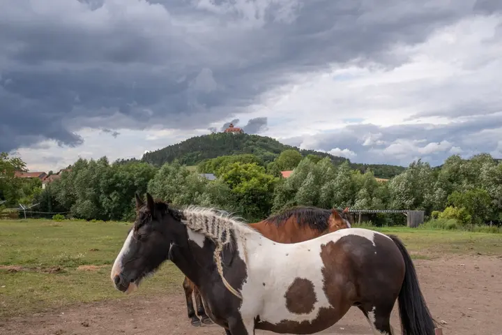 Die Wachsenburg der drei Gleichen