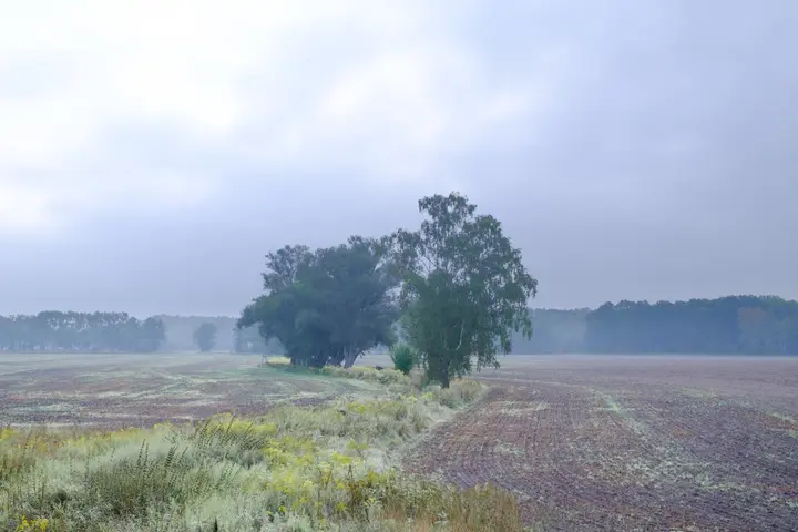 Felder bei Bötzow, Krämer Forst