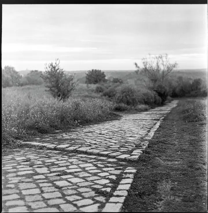 Pflasterstraße auf dem Hahneberg