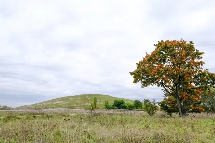 Der Galgenberg bei Rohrbeck