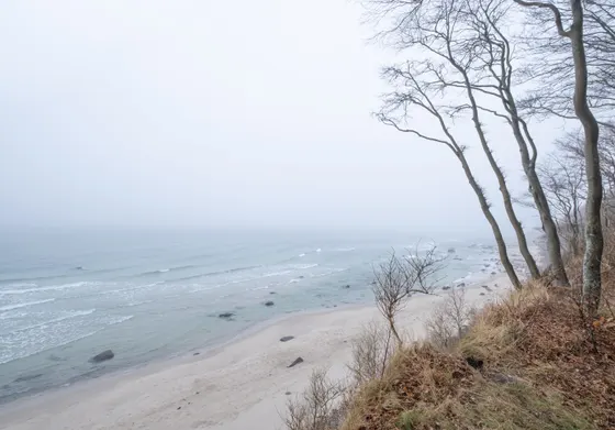 Blick auf die Küste