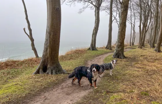Karla und Milli im Rügener Märchenwald