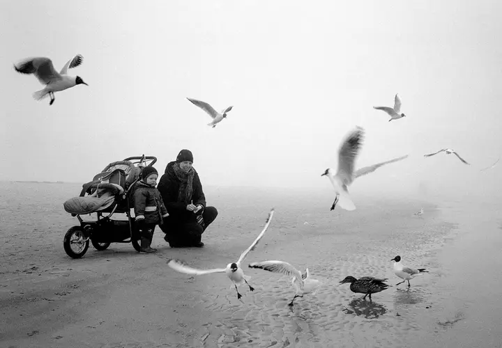 Frau mit Kind und Kinderwagen füttert Möwen am nebligen Strand, Schwarz-Weiß-Negativscan