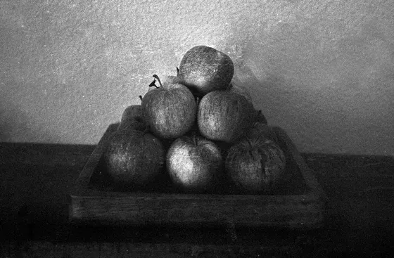 Beispielfoto Olympus Mju 1 (Ilford HP5, Rodinal 1:50)