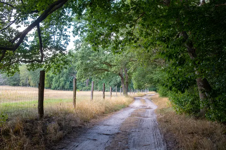 Pferdekoppeln links, Naturschutzgebiet rechts: Bagower Bruch