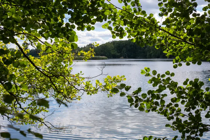 Am Bruchsee von Bagow