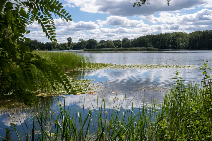 Am Bruchsee von Bagow