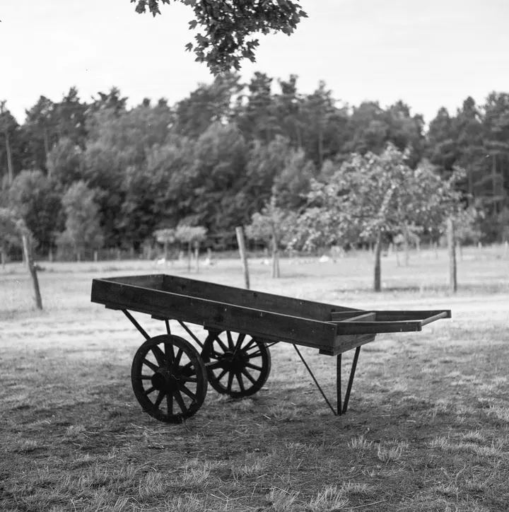 Alte Schubkarre in Annenwalde: Rolleiflex T