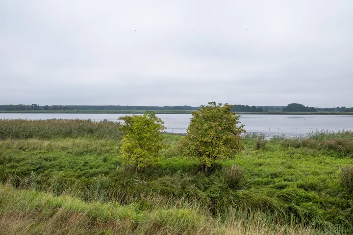 Blick vom Beobachtungshaus auf den Strengsee