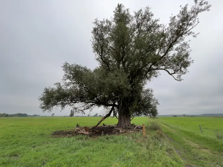 Weg durch die Wiesen am Strengsee