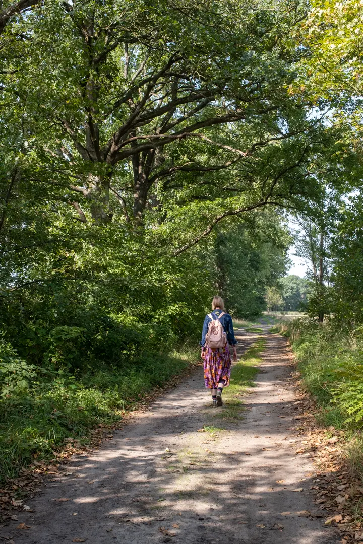 Idyllischer Weg von Reckahn zu den Fischteichen