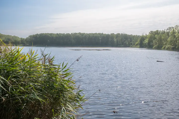 Reckahner Fischteiche - diesmal mit Wasser