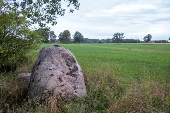 Dicker Feldstein auf dem Weg nach Löwitz