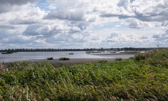 Hinterm Schilf versteckt: Die Flusslandschaft Peenetal